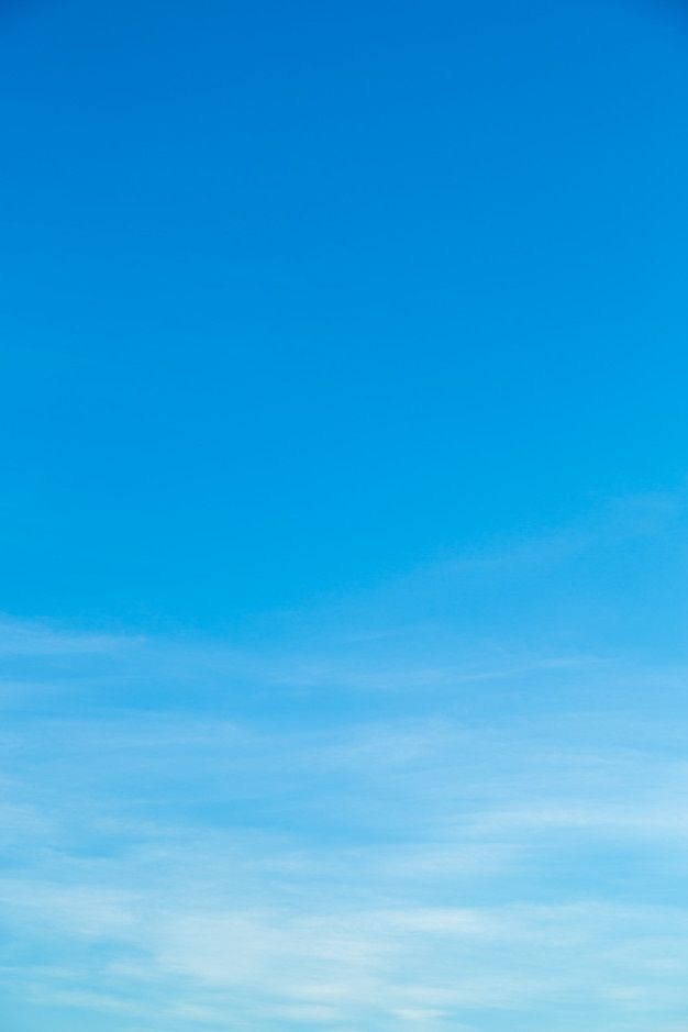ARVATO USA LLC